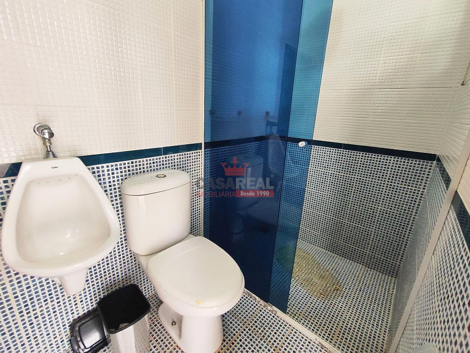 Casa, 4 quartos, 235 m² - Foto 12