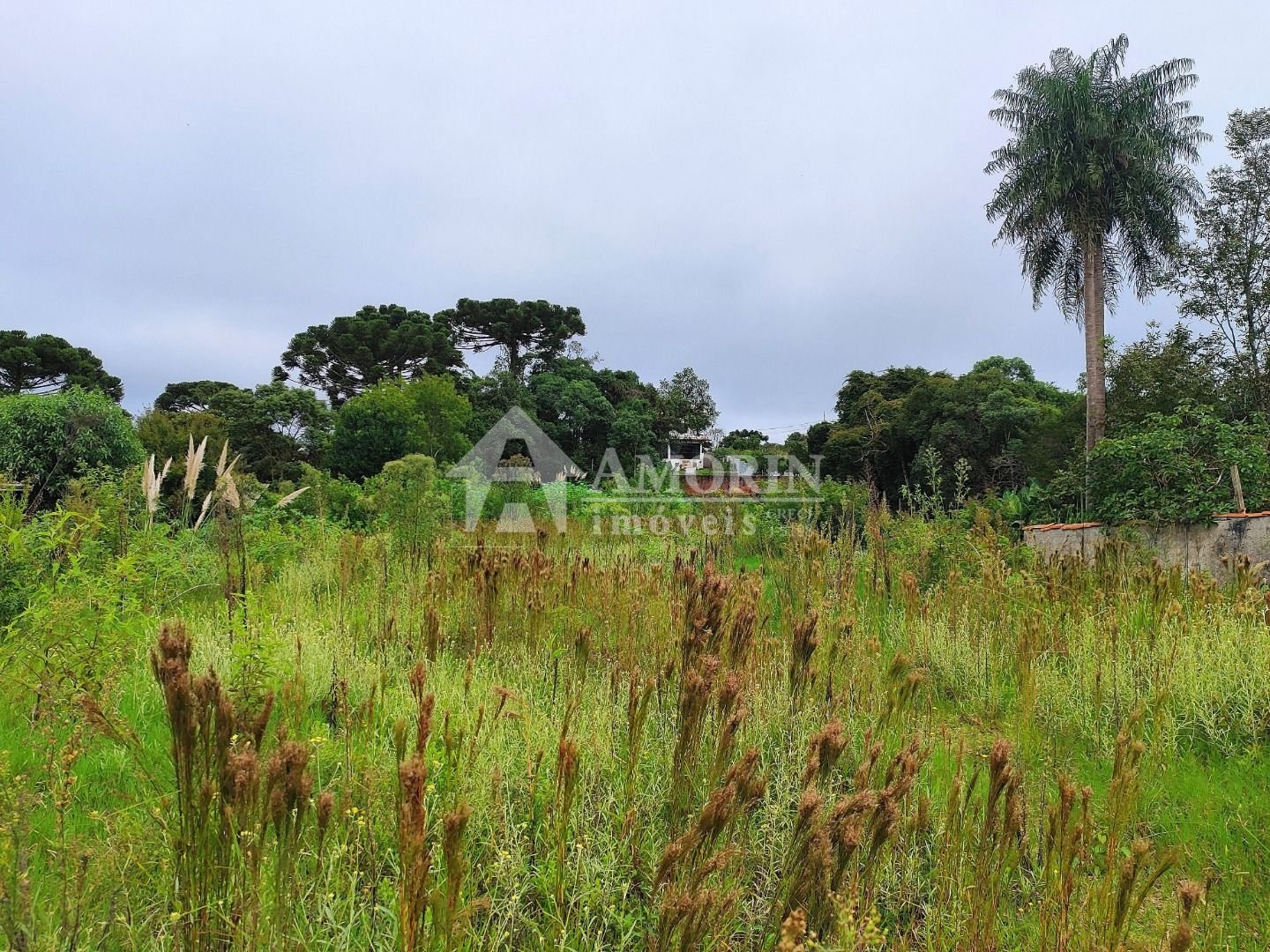 Próximo ao Jd. Vergínia - Plano - 2.484,00m 