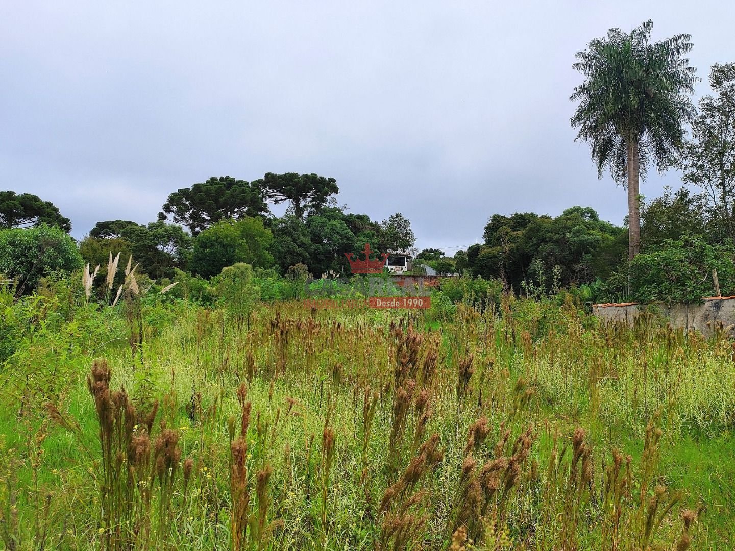 Terreno à venda, 2484m² - Foto 1
