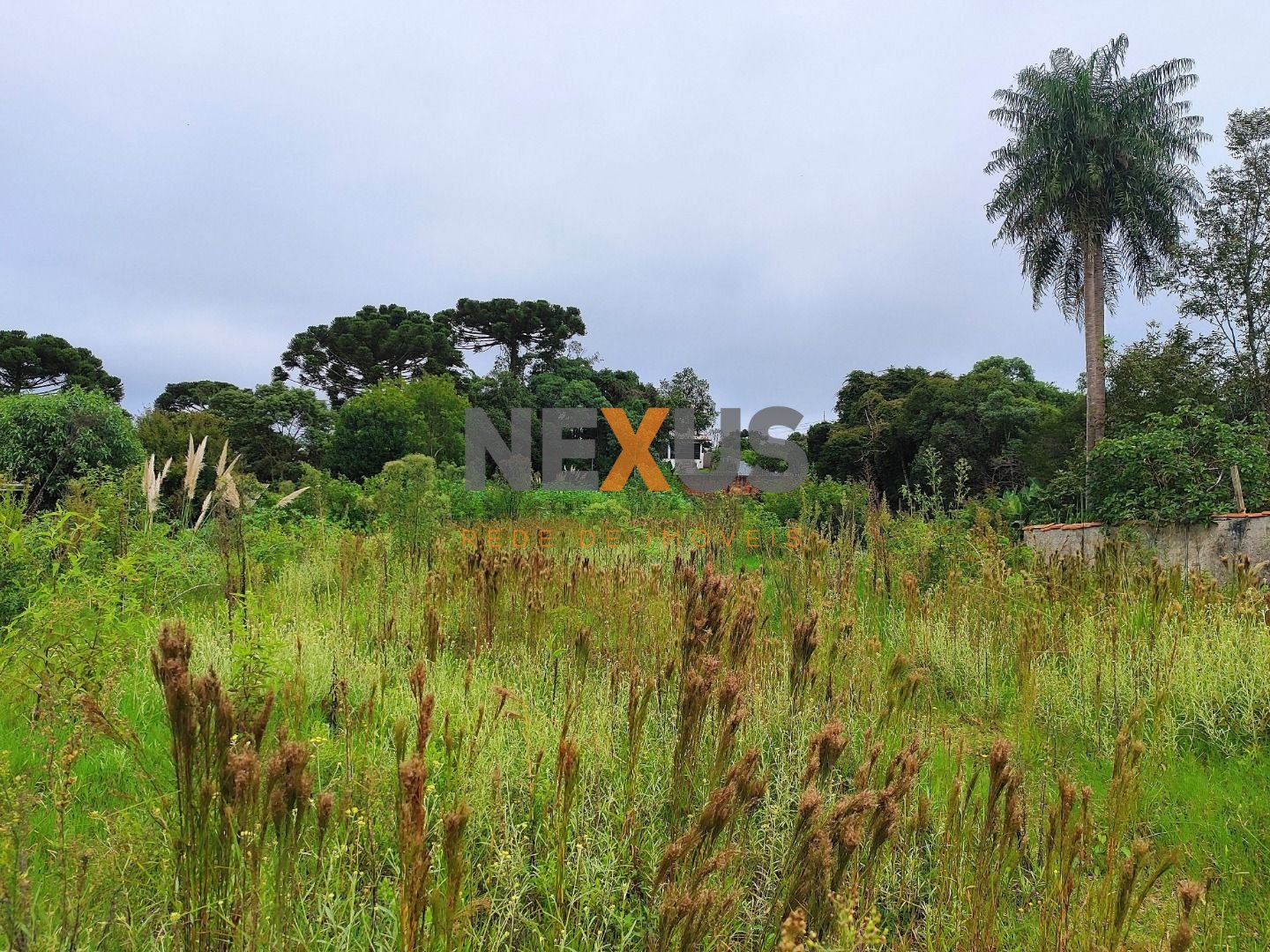 Próximo ao Jd. Vergínia - Plano - 2.484,00m 