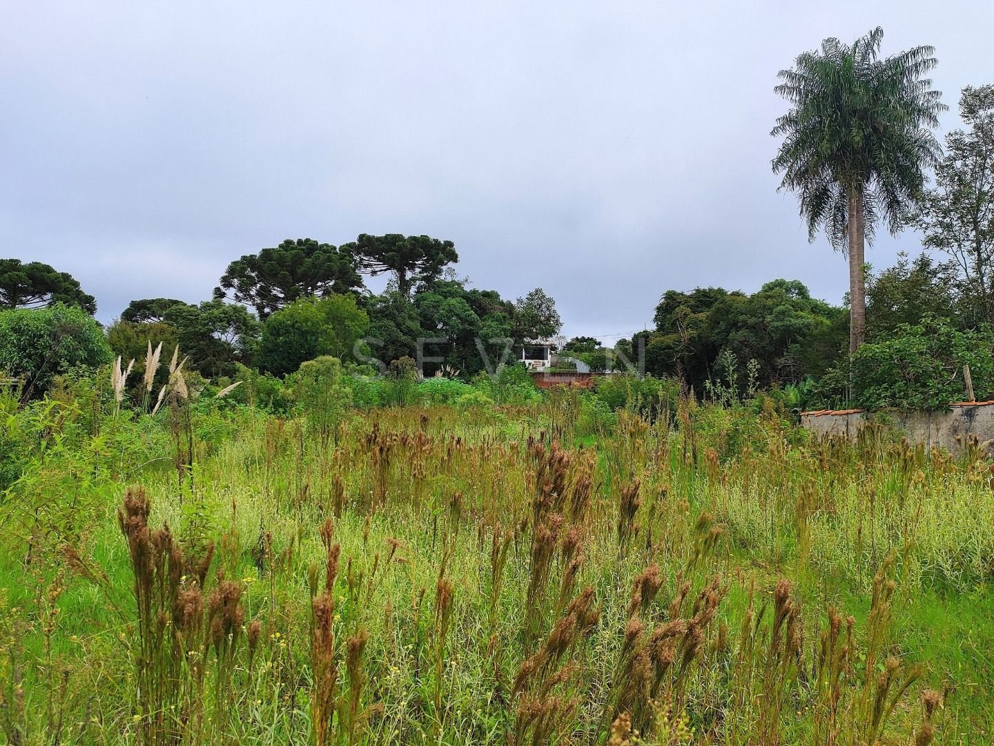 Próximo ao Jd. Vergínia - Plano - 2.484,00m 