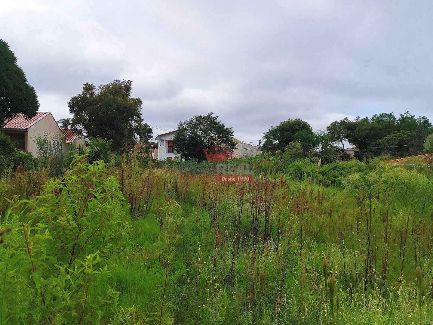 Terreno à venda, 2484m² - Foto 7