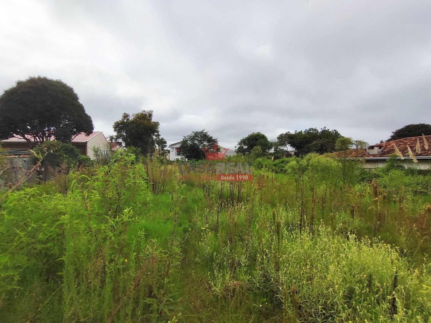Terreno à venda, 2484m² - Foto 6