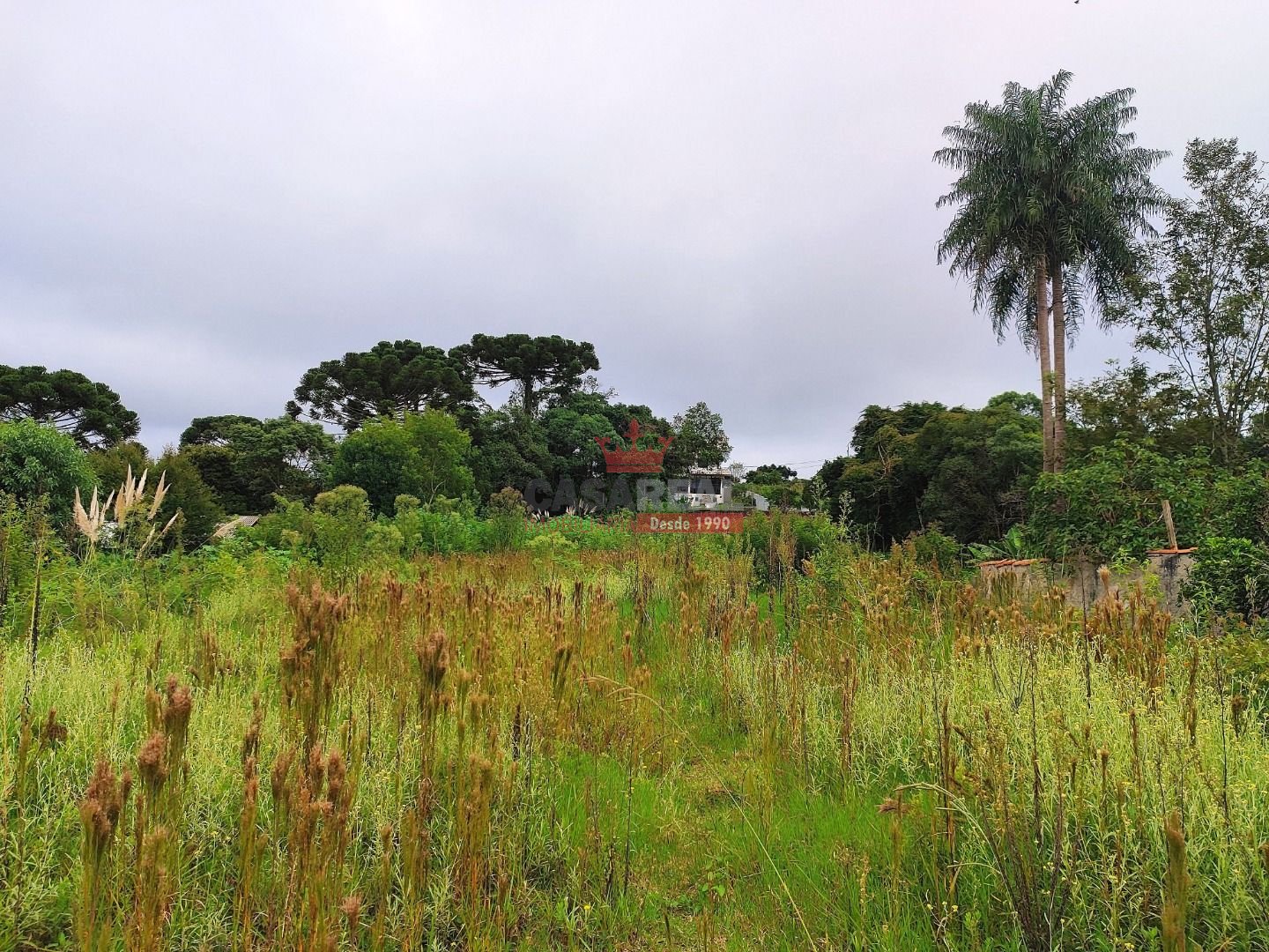 Terreno à venda, 2484m² - Foto 5
