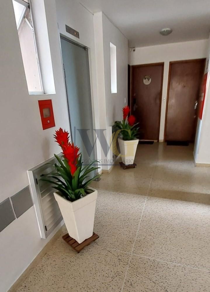Apartamento com 3 dormitórios à venda, garagem - Água Verde - ...