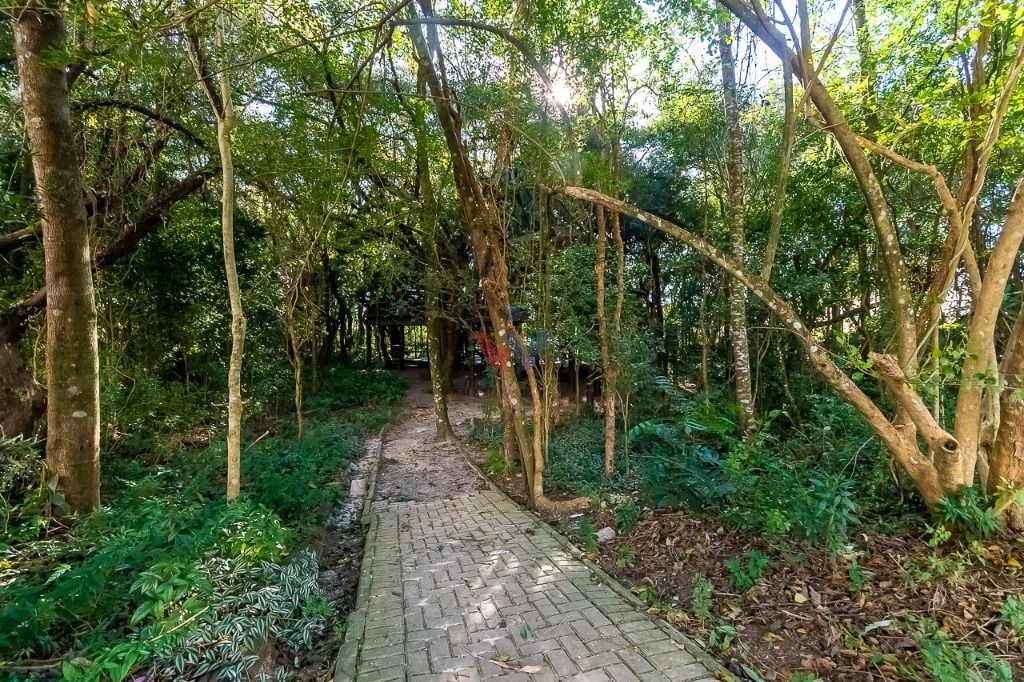 Apartamento 4 quartos à venda, 166 m  privativos, ECOVILLE, CU...