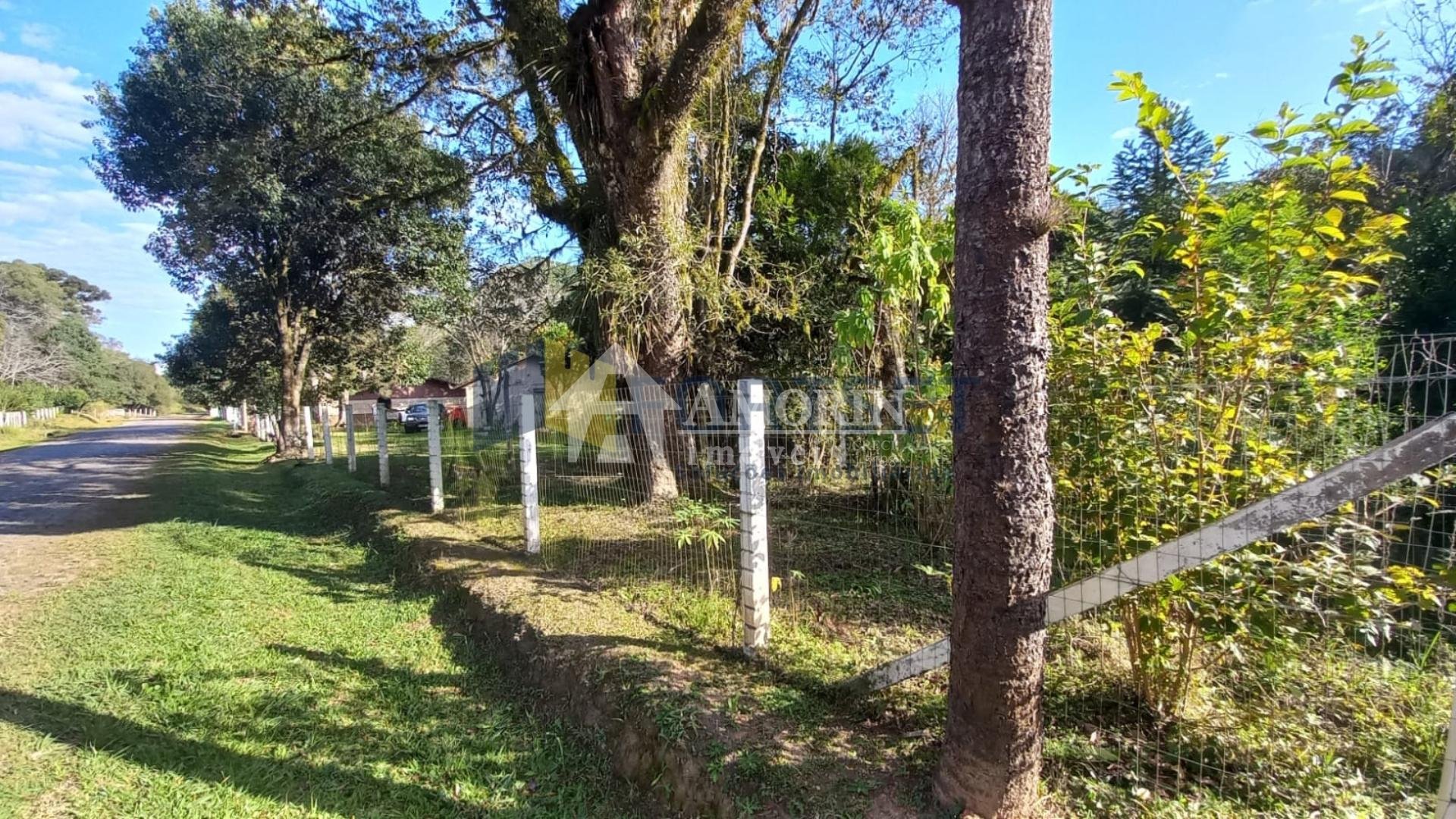 Chácara à venda, 6050m  em Guarauna , PONTA GROSSA - PR