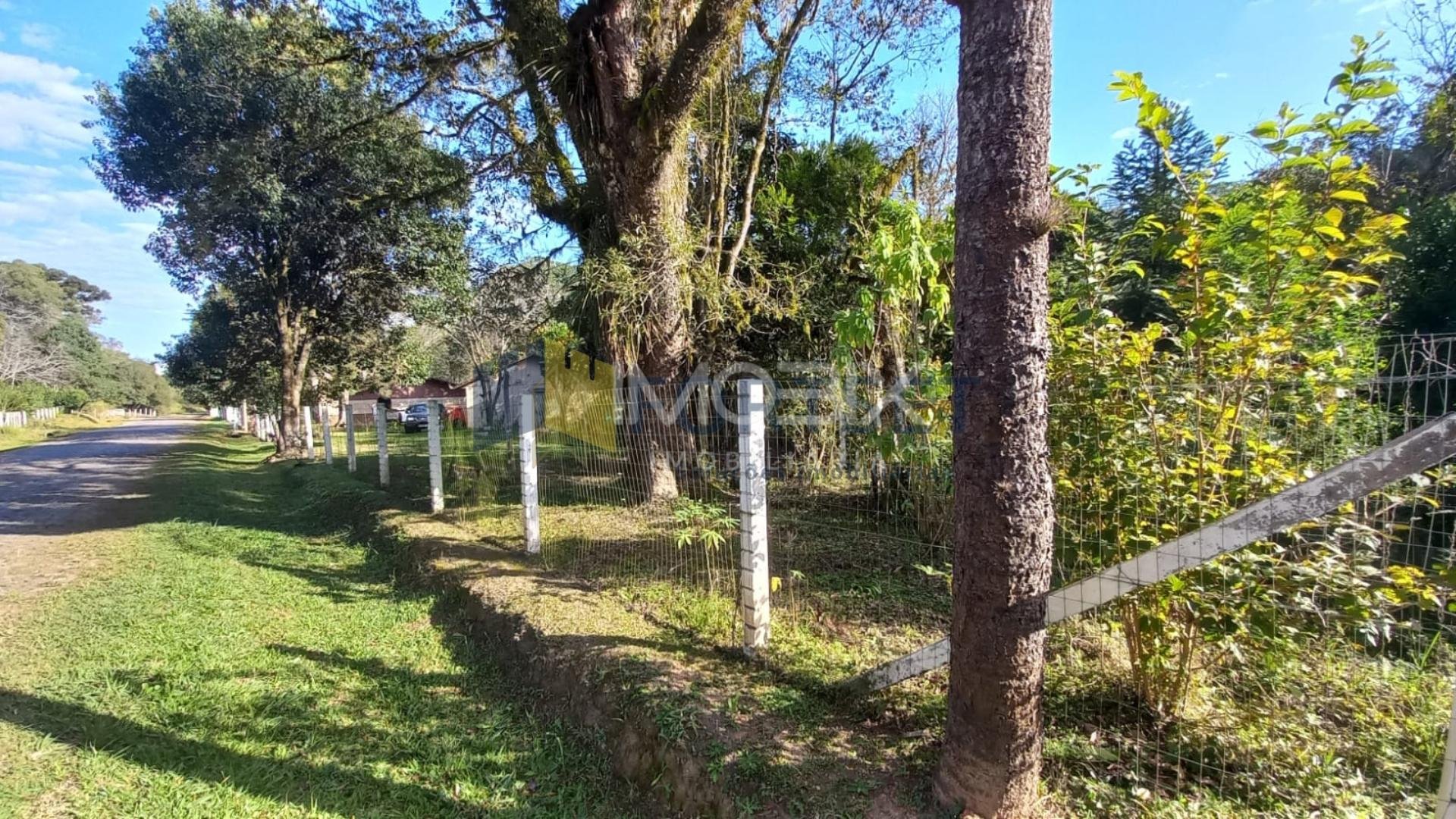 Chácara à venda, 6050m  em Guarauna , PONTA GROSSA - PR