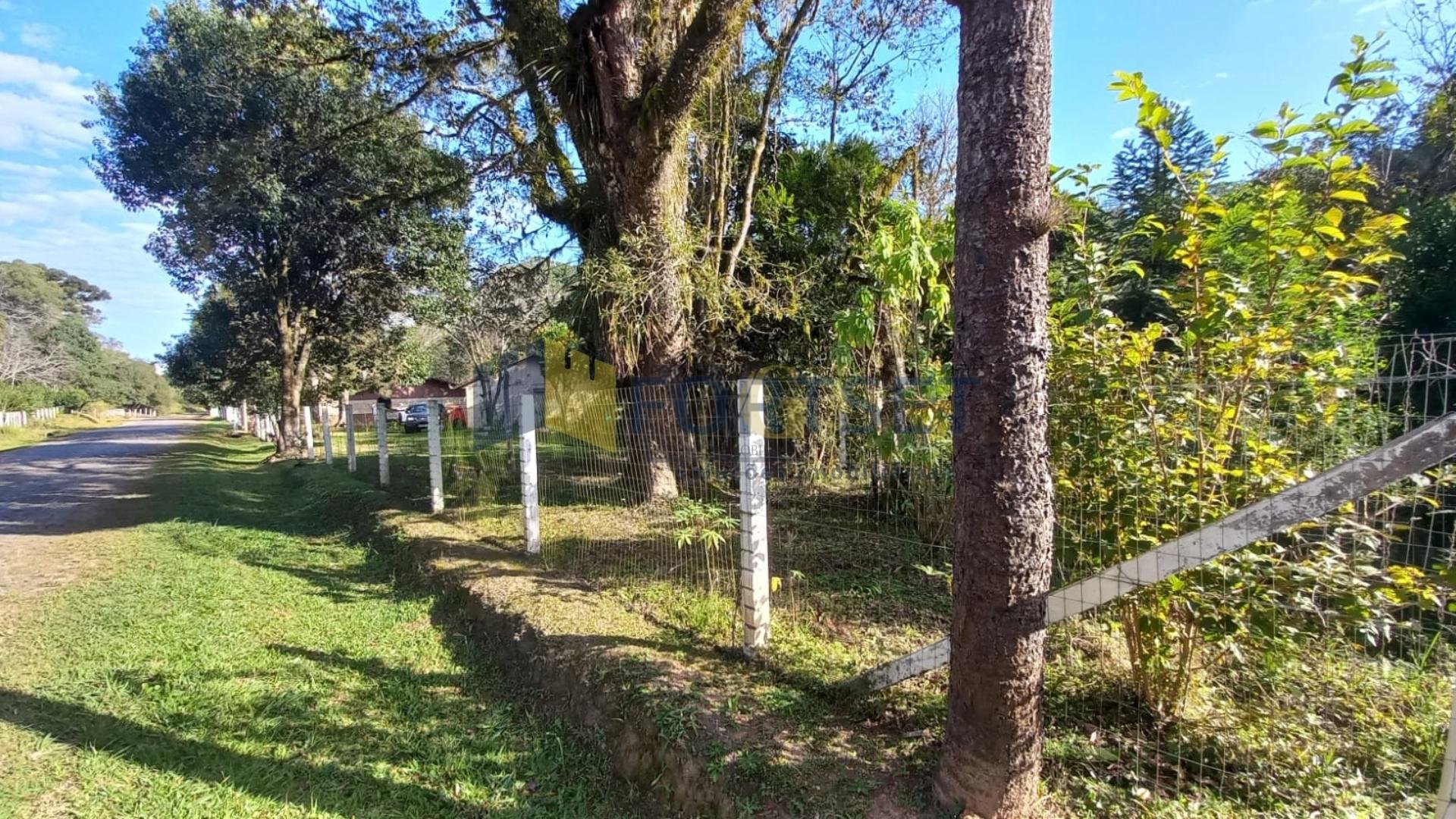 Chácara à venda, 6050m  em Guarauna , PONTA GROSSA - PR