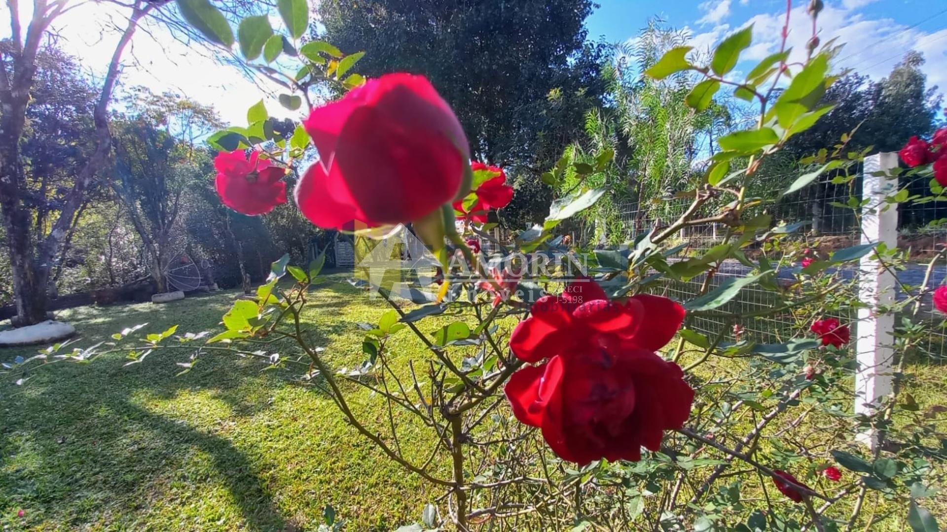 Chácara à venda, 6050m  em Guarauna , PONTA GROSSA - PR
