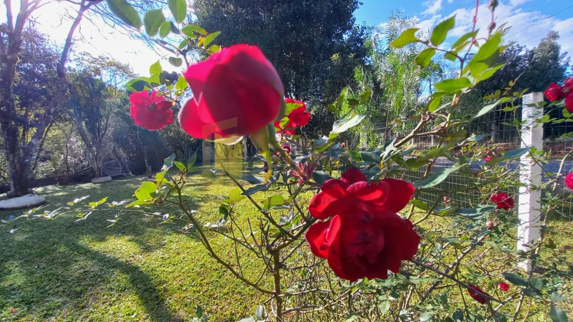 Chácara à venda, 6050m  em Guarauna , PONTA GROSSA - PR