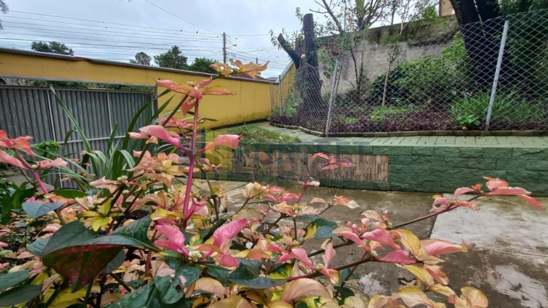 Casa à venda, Vila Estrela,  PONTA GROSSA - PR