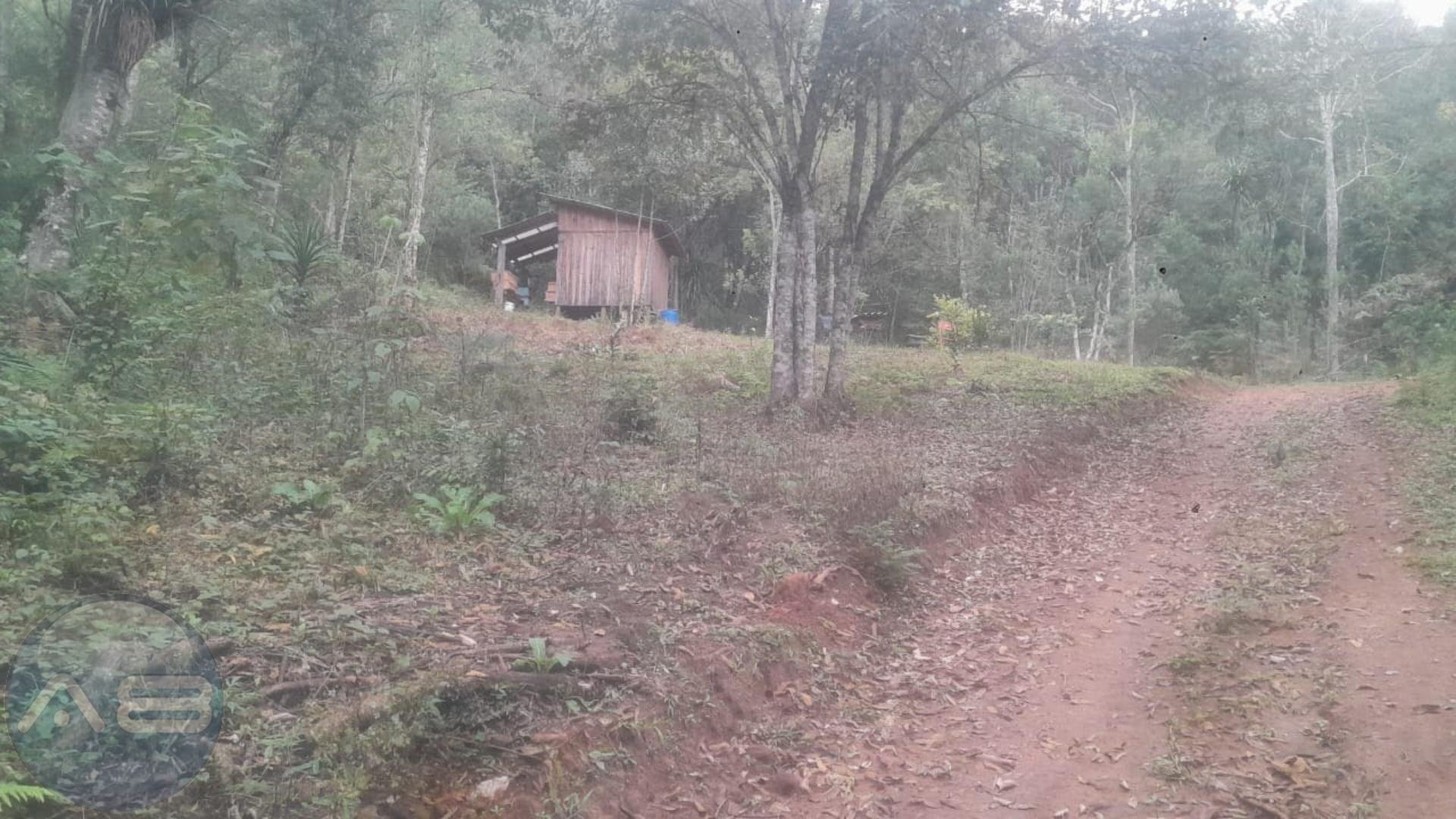 Ch?cara ? venda, ITAIACOCA  PONTA GROSSA - PR