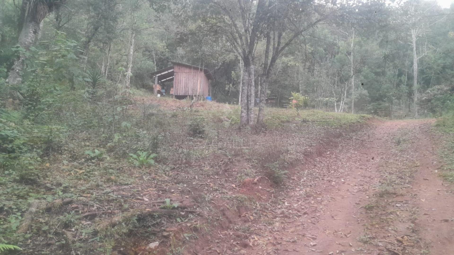 Chácara à venda, ITAIACOCA  PONTA GROSSA - PR