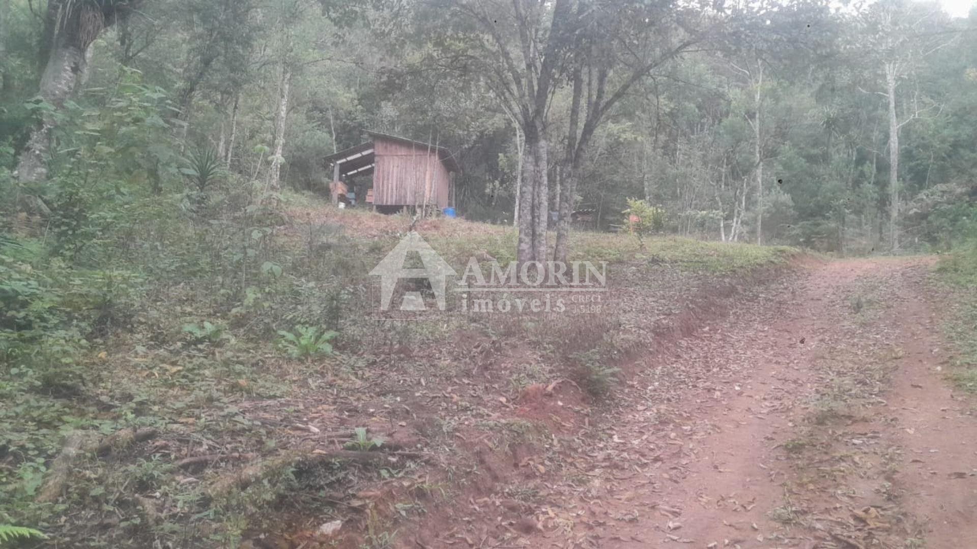 Chácara à venda, ITAIACOCA  PONTA GROSSA - PR