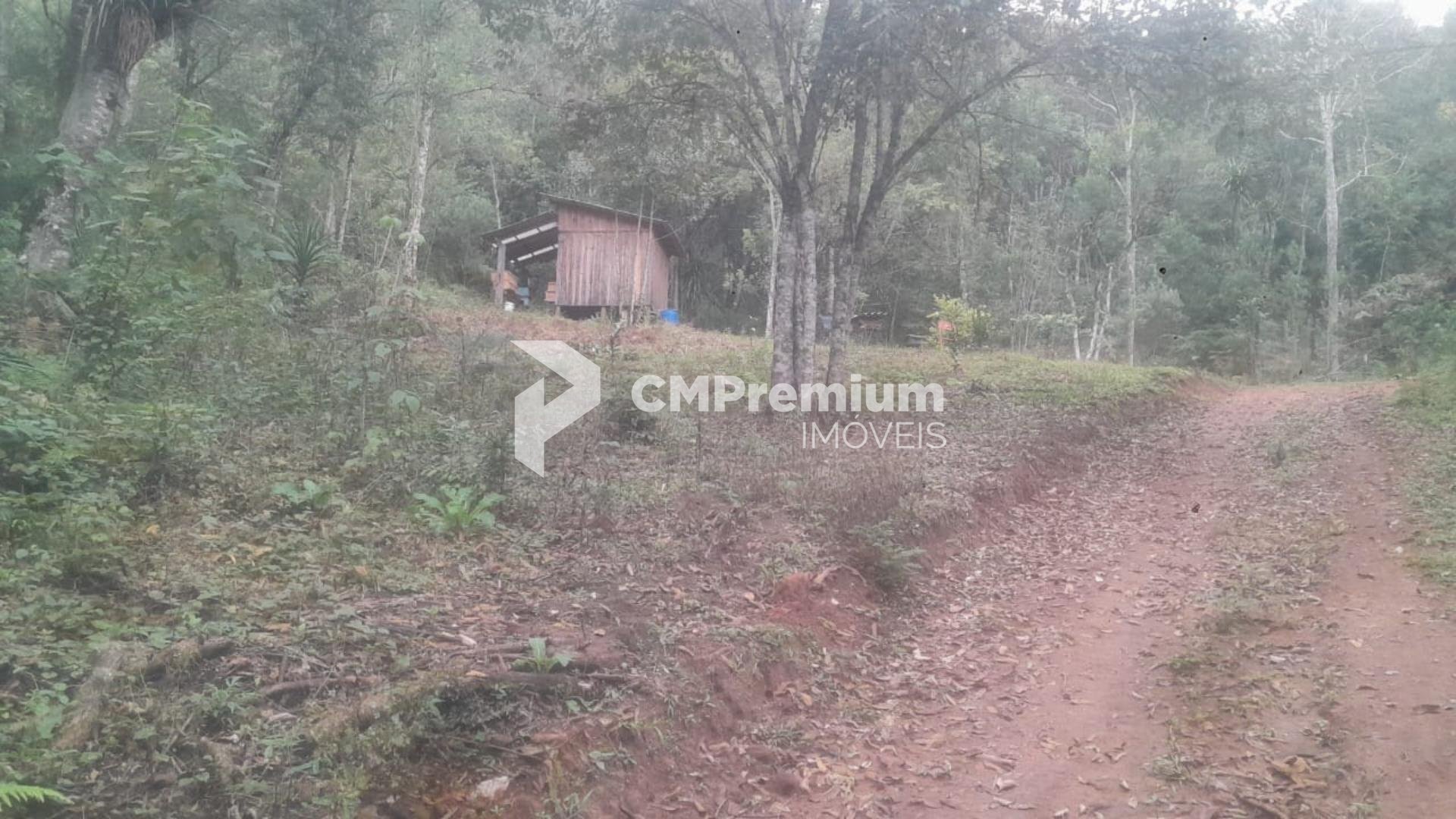 Chácara à venda, ITAIACOCA  PONTA GROSSA - PR