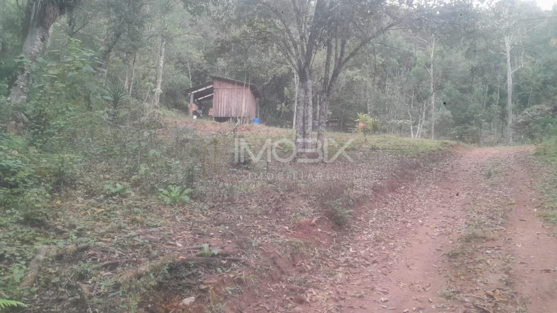 Chácara à venda, ITAIACOCA  PONTA GROSSA - PR