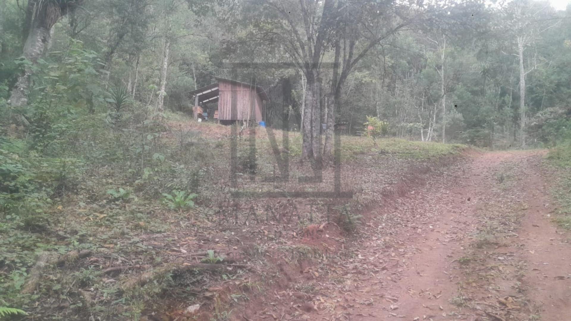 Chácara à venda, ITAIACOCA  PONTA GROSSA - PR