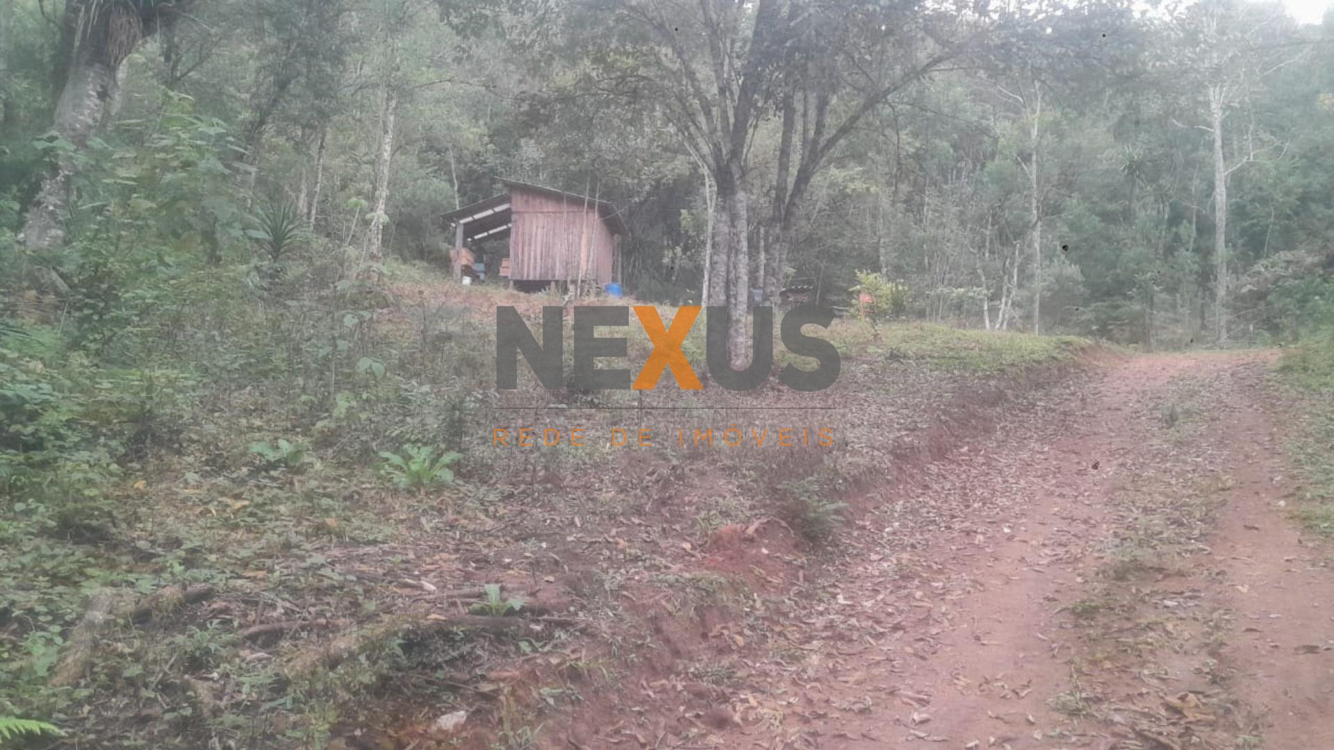 Chácara à venda, ITAIACOCA  PONTA GROSSA - PR