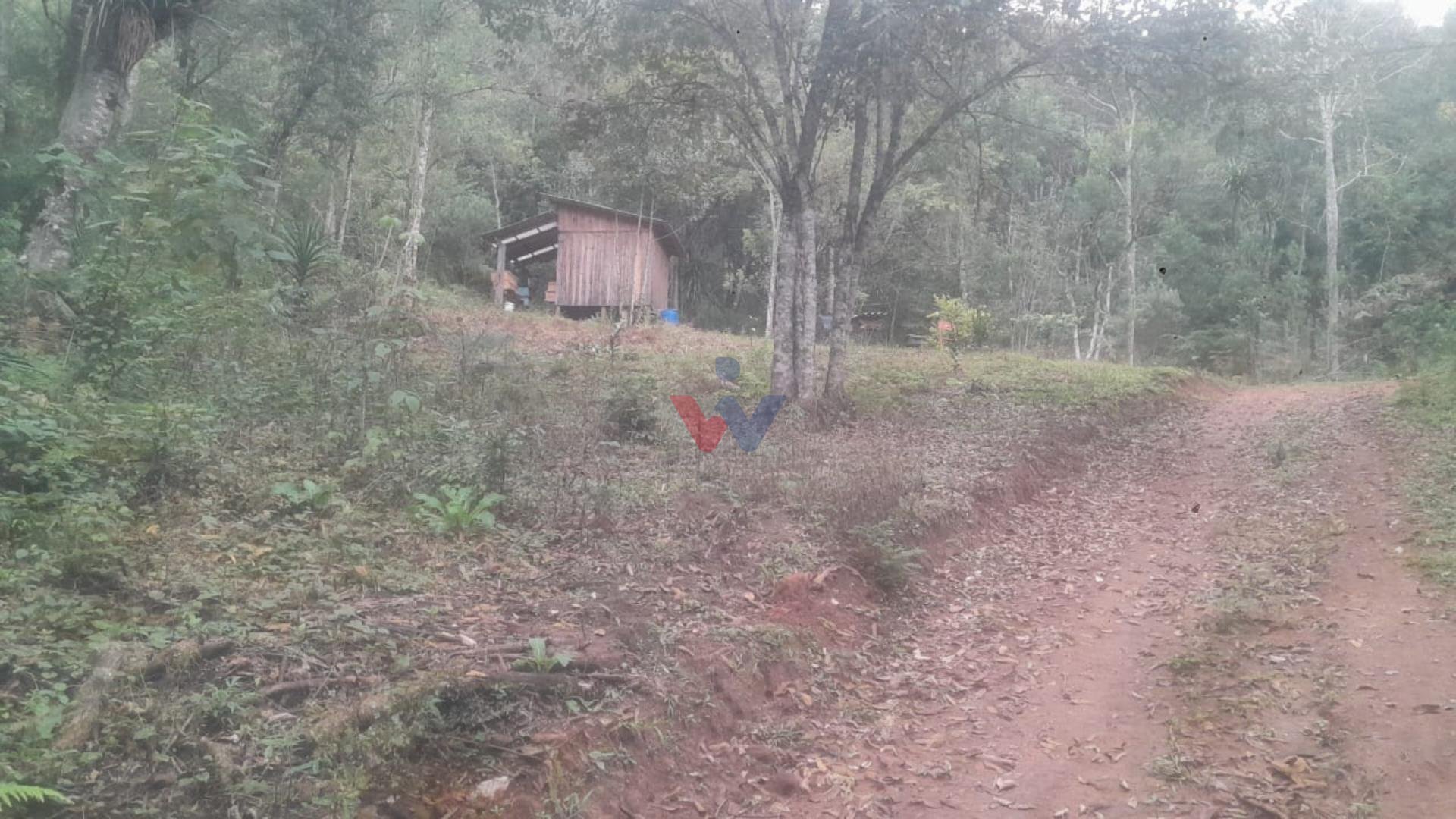 Chácara à venda, ITAIACOCA  PONTA GROSSA - PR