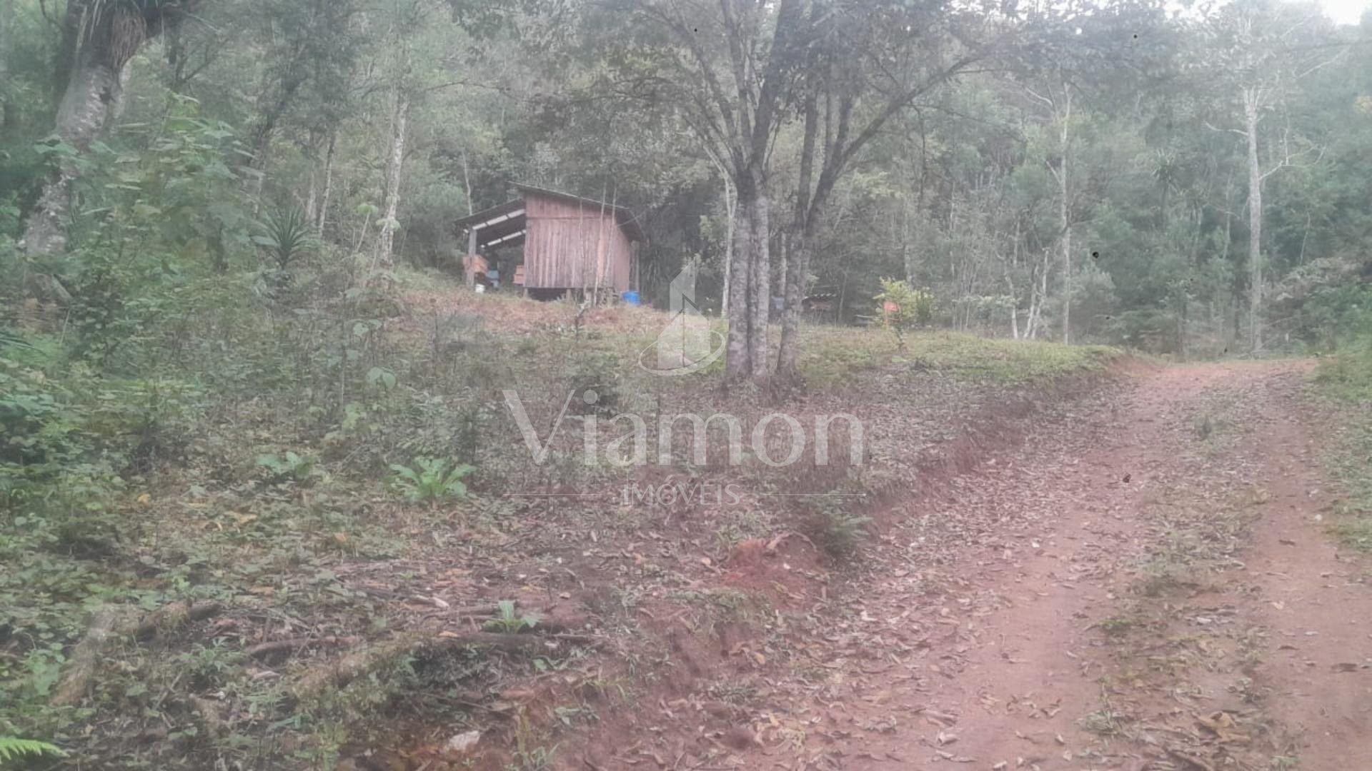 Chácara à venda, ITAIACOCA  PONTA GROSSA - PR