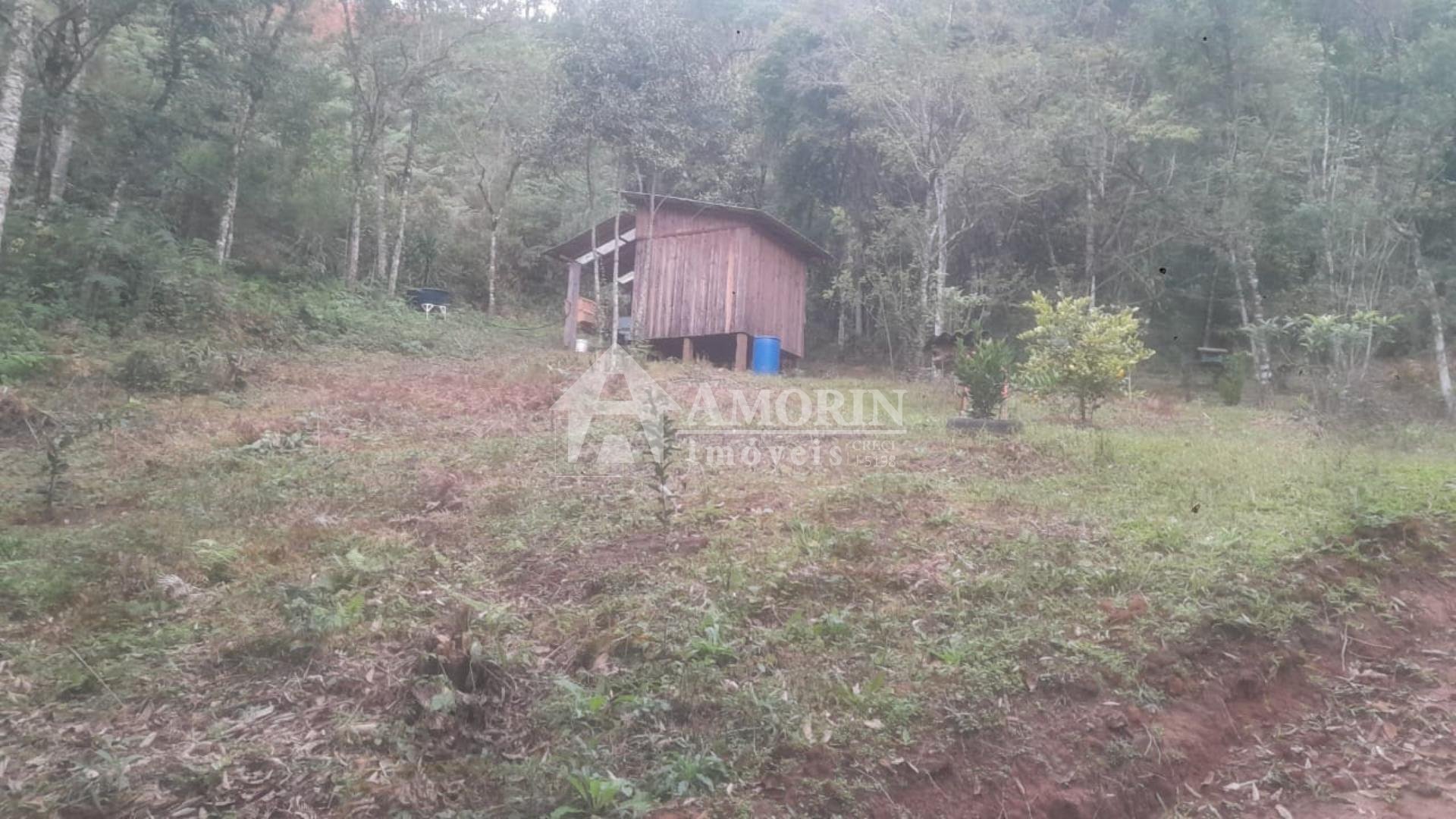 Chácara à venda, ITAIACOCA  PONTA GROSSA - PR