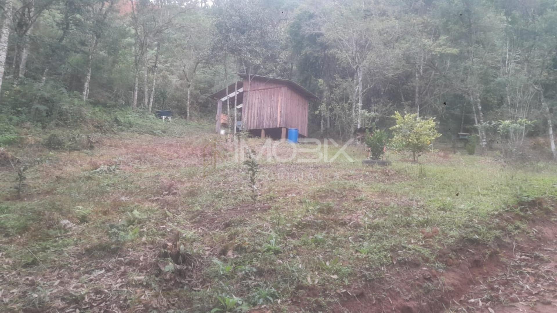 Chácara à venda, ITAIACOCA  PONTA GROSSA - PR