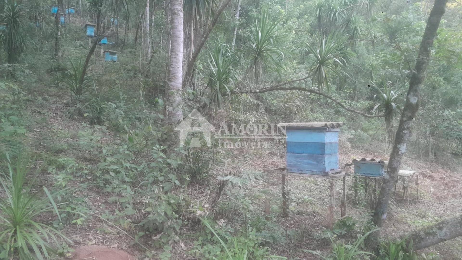 Chácara à venda, ITAIACOCA  PONTA GROSSA - PR