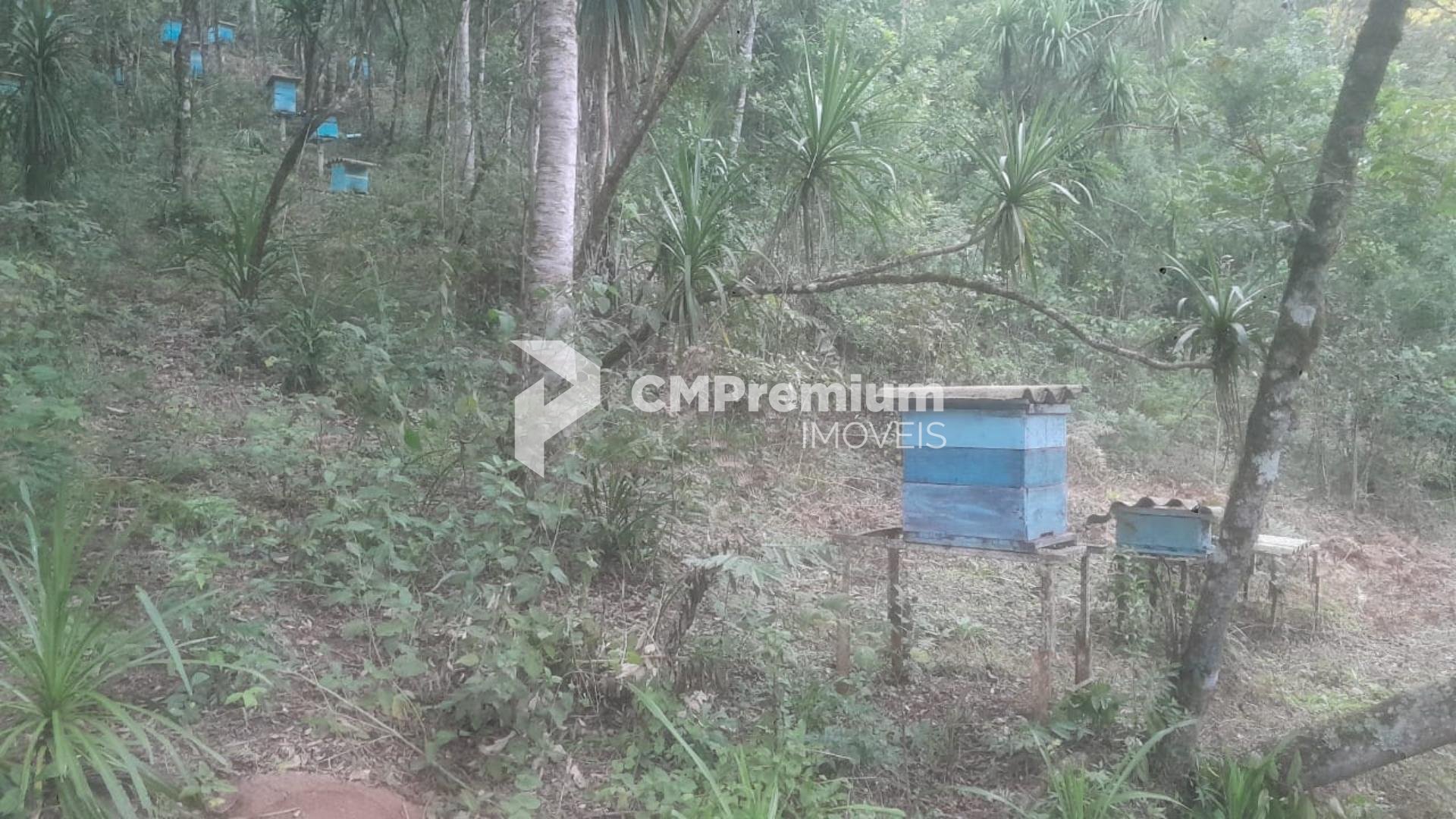 Chácara à venda, ITAIACOCA  PONTA GROSSA - PR