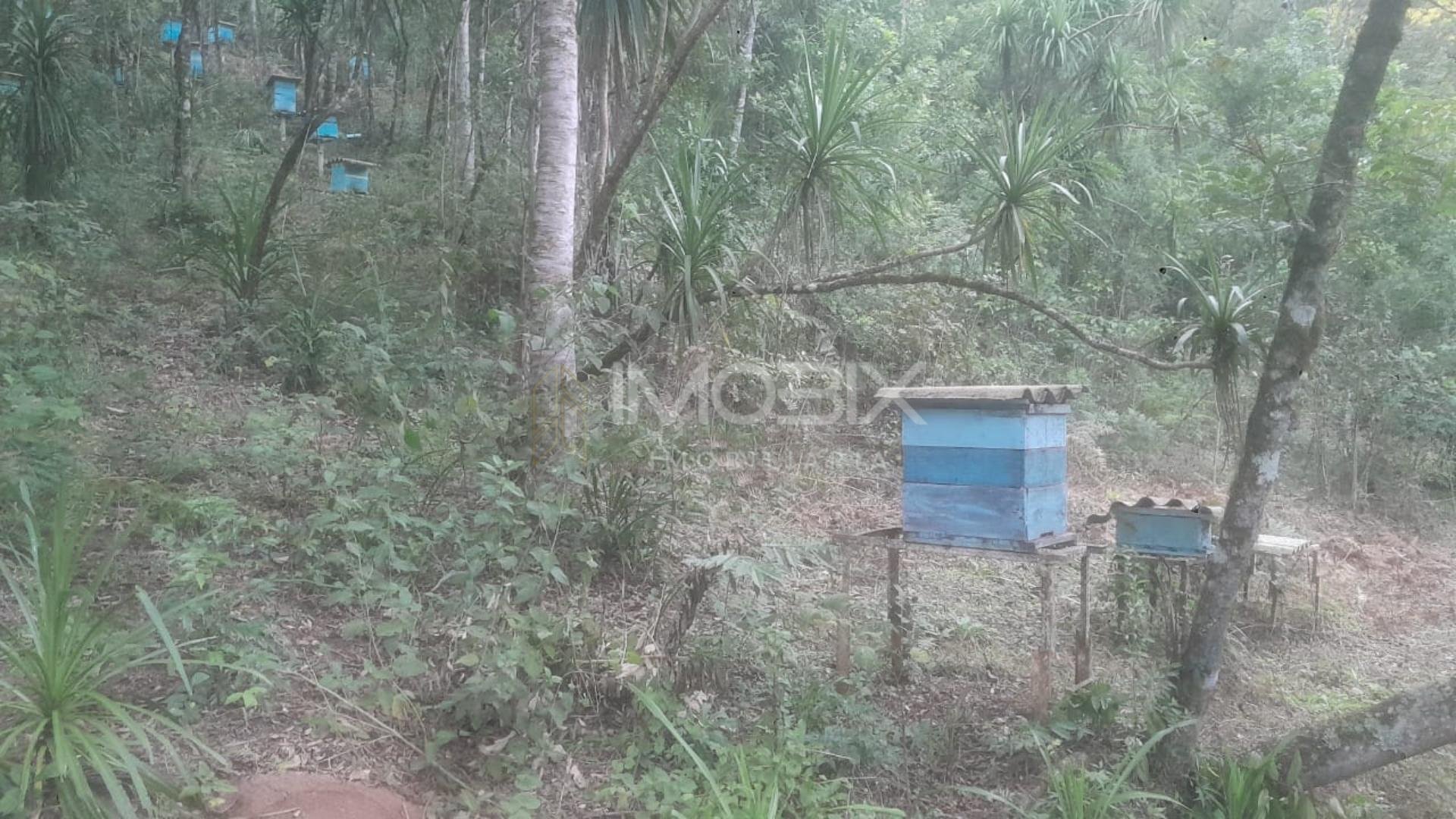 Chácara à venda, ITAIACOCA  PONTA GROSSA - PR