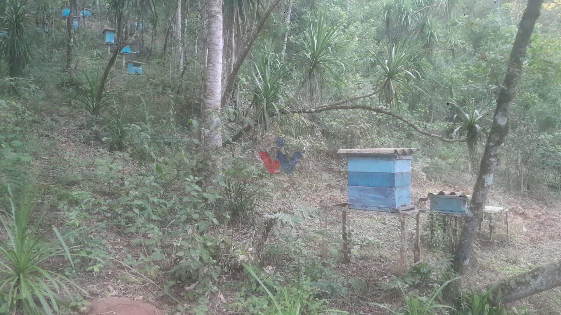 Chácara à venda, ITAIACOCA  PONTA GROSSA - PR