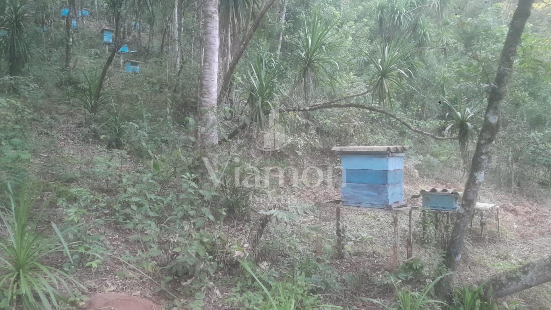 Chácara à venda, ITAIACOCA  PONTA GROSSA - PR