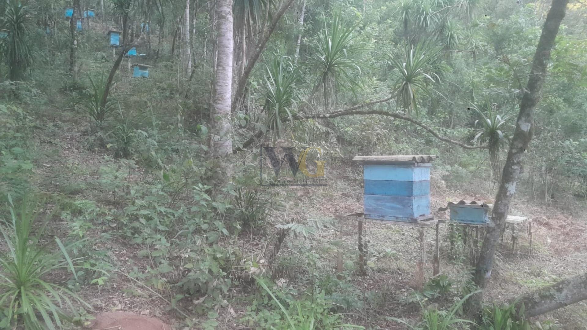 Chácara à venda, ITAIACOCA  PONTA GROSSA - PR