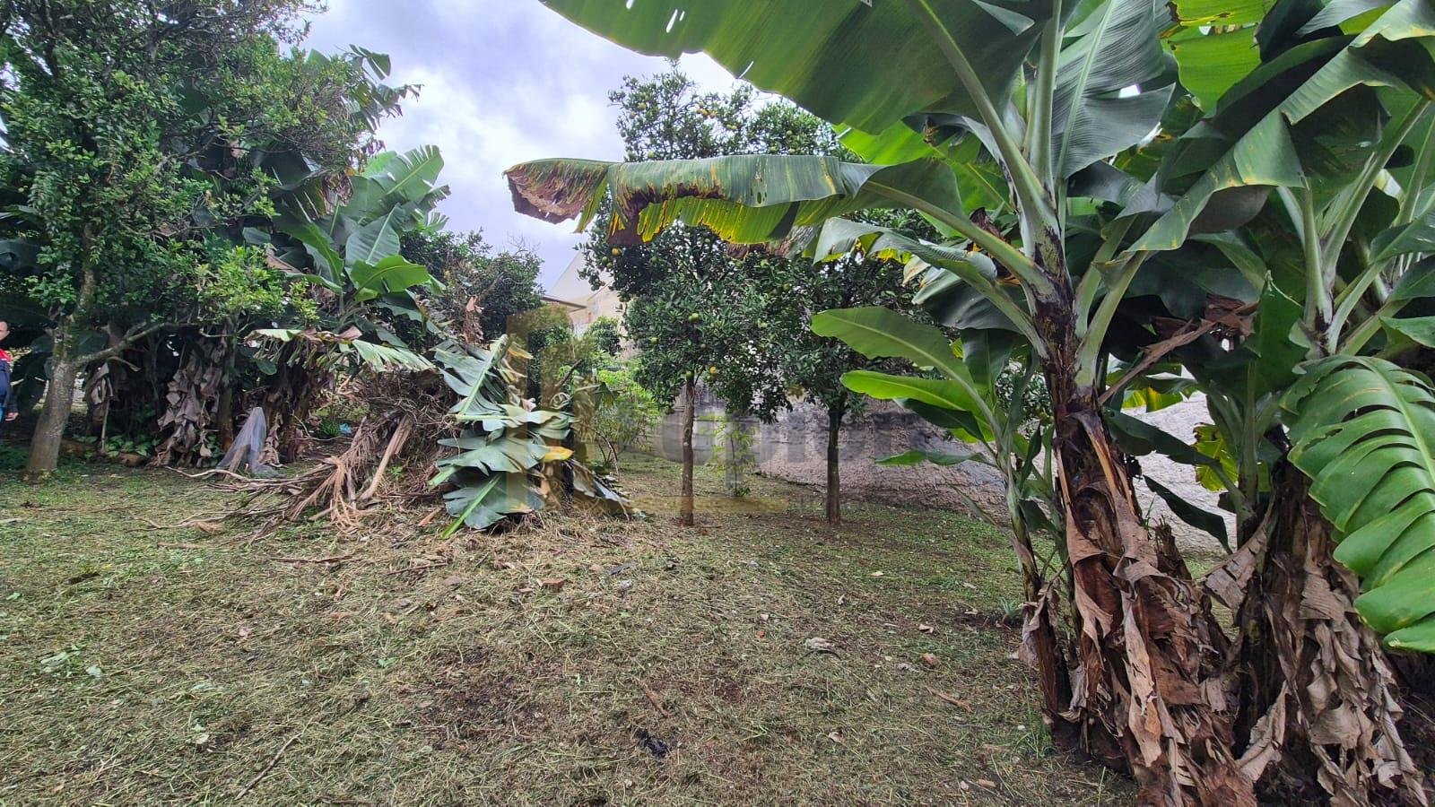 Ótimo terreno no Bairro Alto, situado na Rua Rio Tietê, 674 - ...