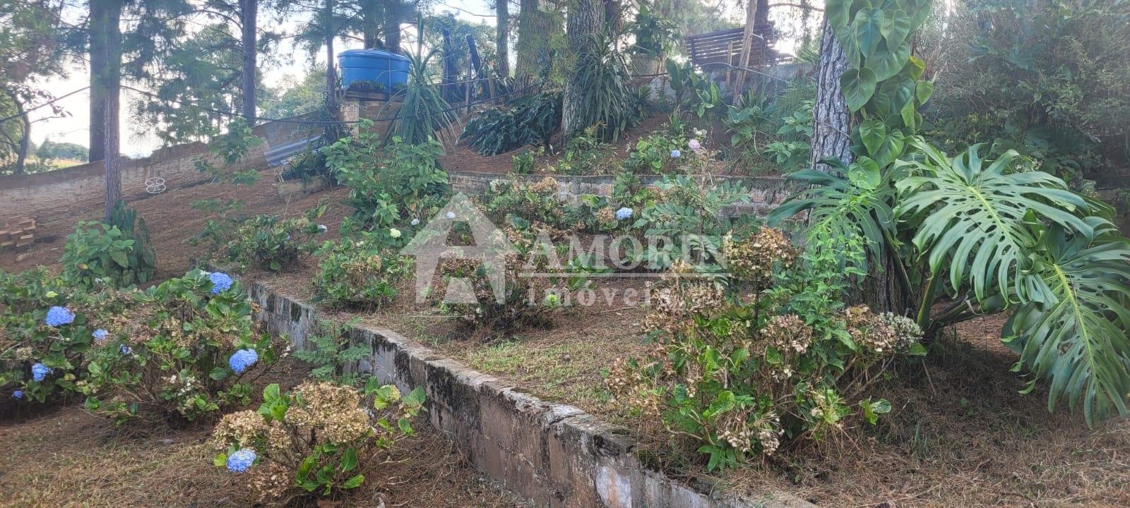 Chácara com 3 casas à venda em Contenda 9.000 m  com bosque e rio