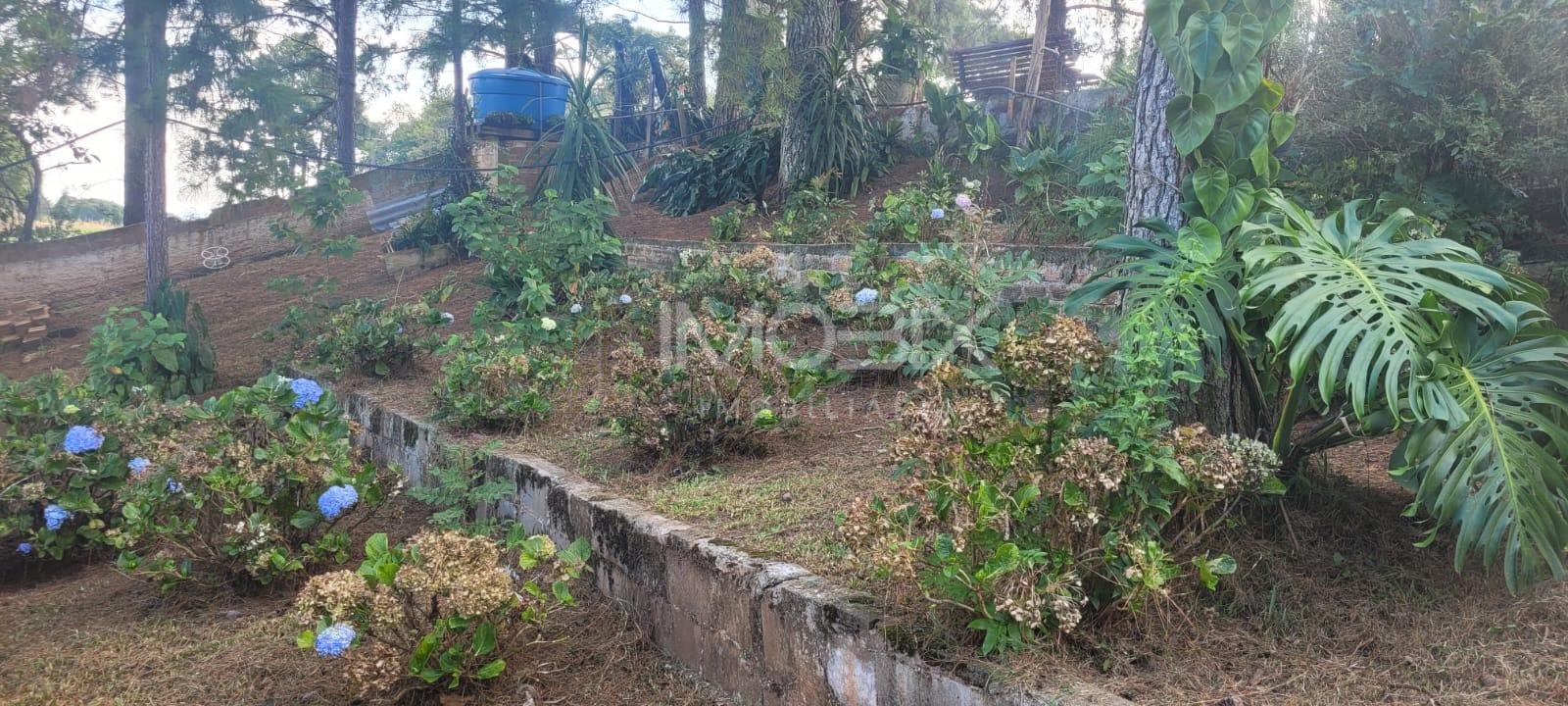 Chácara com 3 casas à venda em Contenda 9.000 m  com bosque e rio