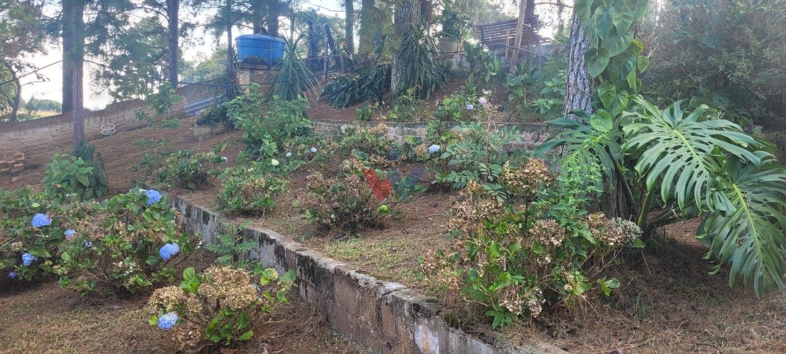 Chácara com 3 casas à venda em Contenda 9.000 m  com bosque e rio
