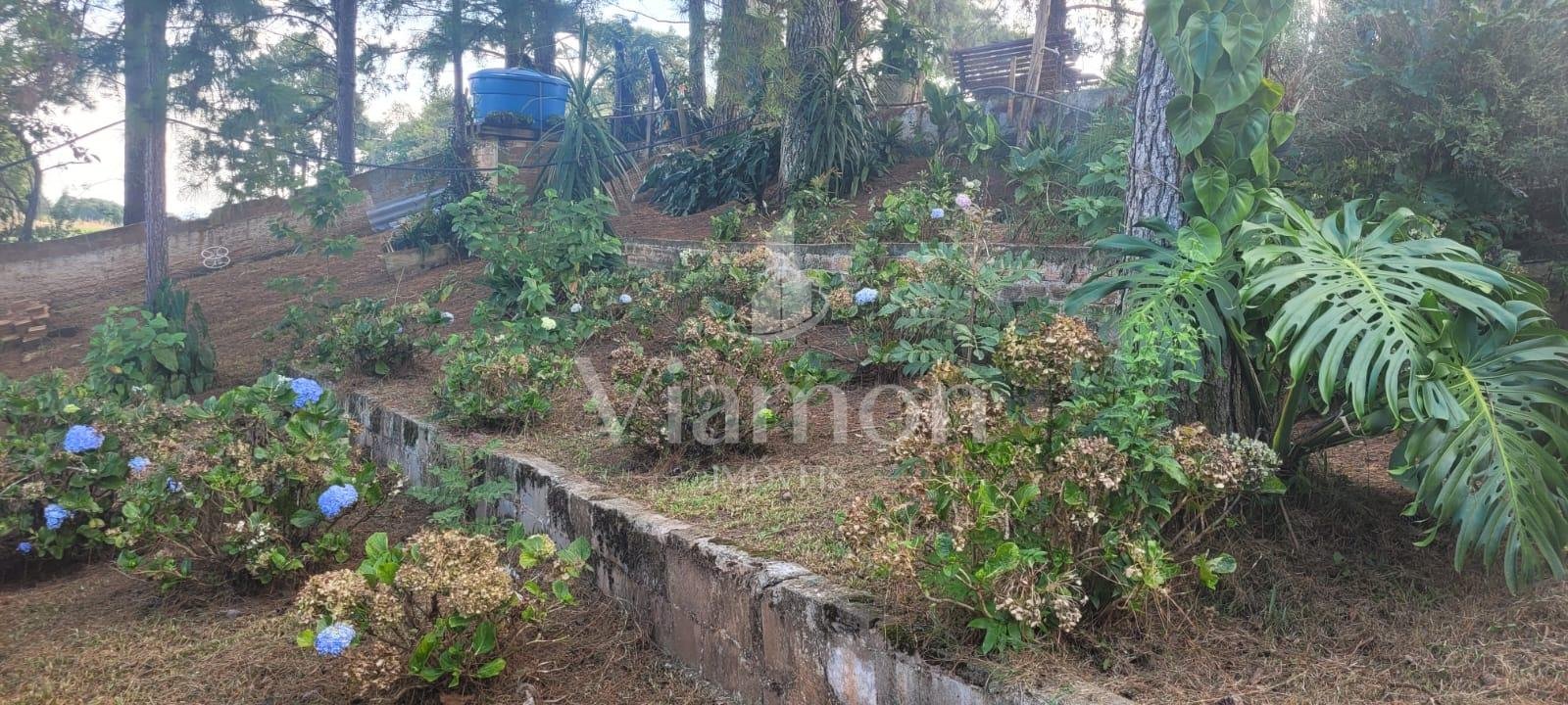 Chácara com 3 casas à venda em Contenda 9.000 m  com bosque e rio
