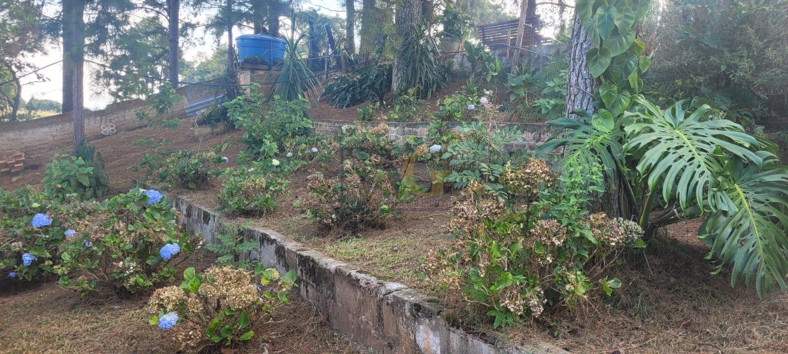 Chácara com 3 casas à venda em Contenda 9.000 m  com bosque e rio