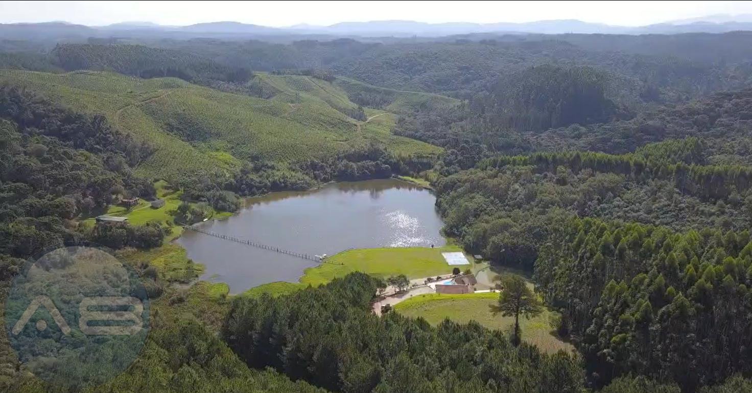 Fazenda com 77,95 Hectares, Casa com Piscina e R  2 Milh?es em...