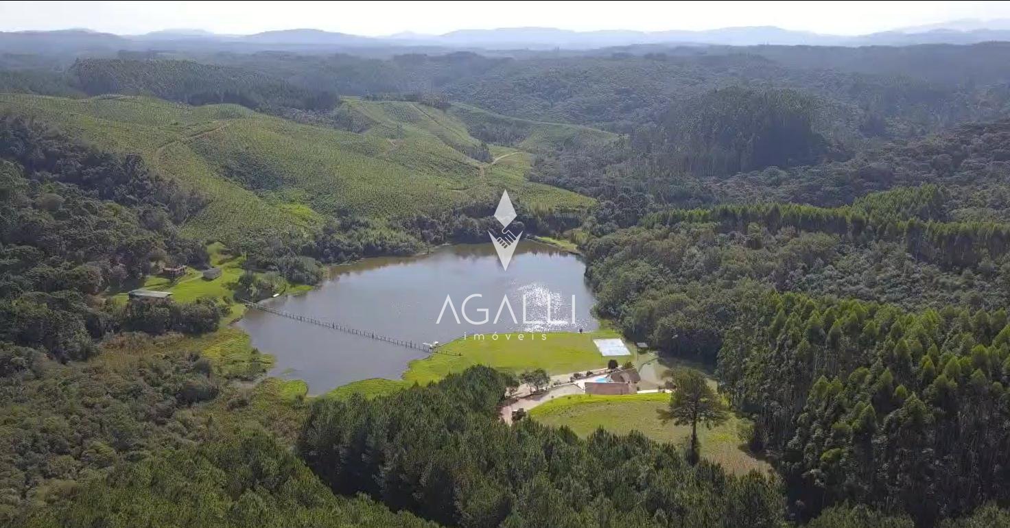 Fazenda com 77,95 Hectares, Casa com Piscina e R  2 Milhões em...