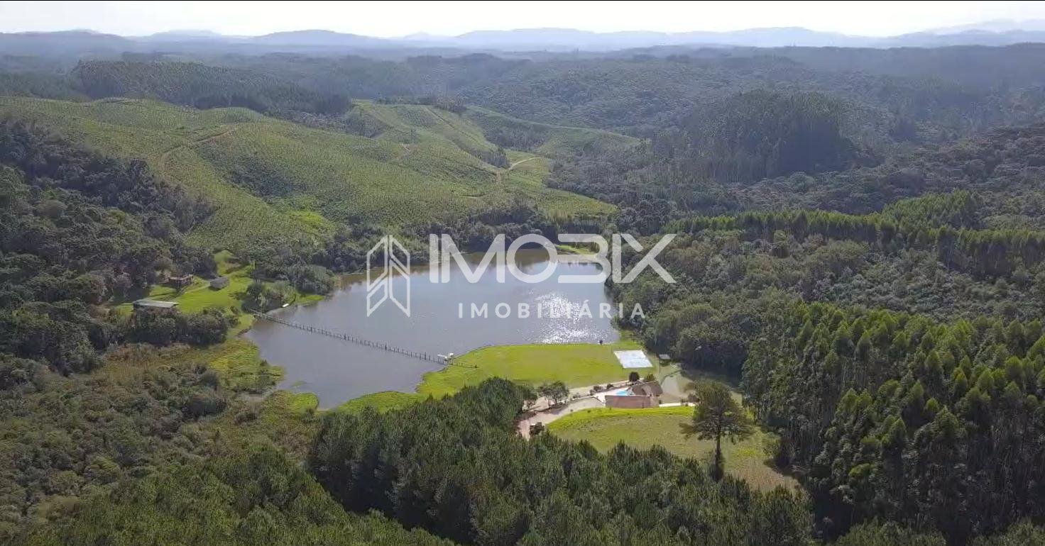 Fazenda com 77,95 Hectares, Casa com Piscina e R  2 Milhões em...