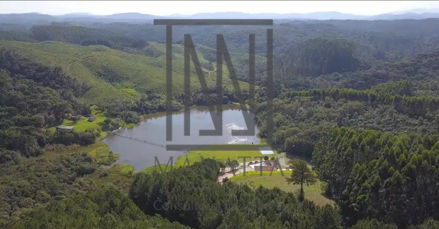 Fazenda com 77,95 Hectares, Casa com Piscina e R  2 Milhões em...