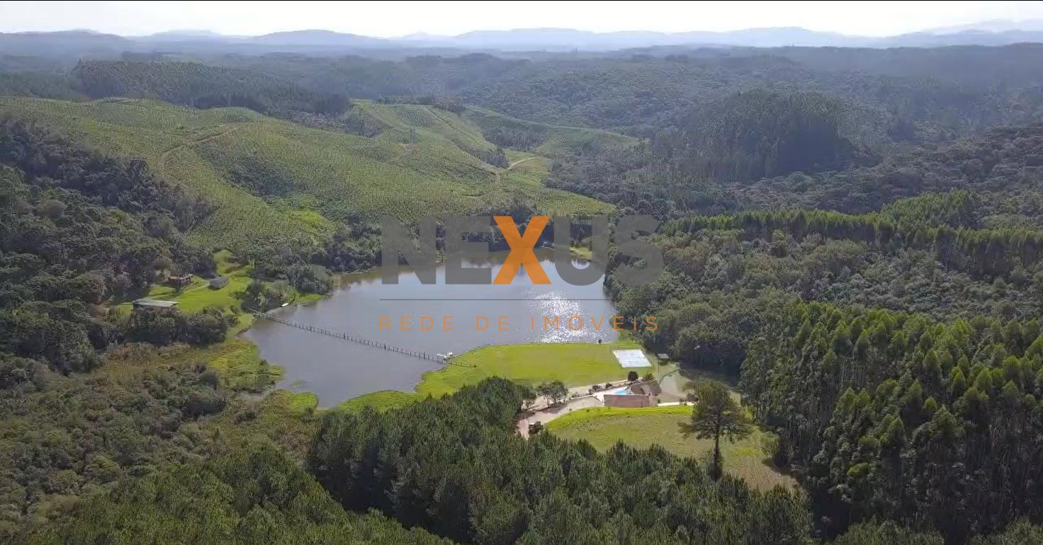 Fazenda com 77,95 Hectares, Casa com Piscina e R  2 Milhões em...