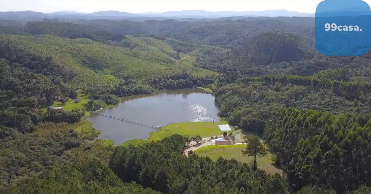 Fazenda com 77,95 Hectares, Casa com Piscina e R  2 Milhões em...