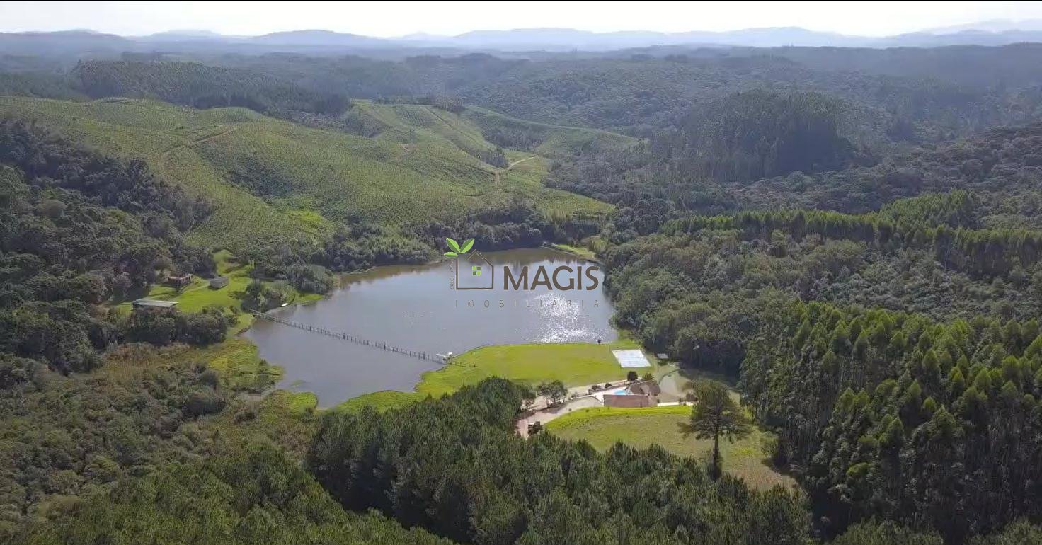 Fazenda com 77,95 Hectares, Casa com Piscina e R  2 Milhões em...