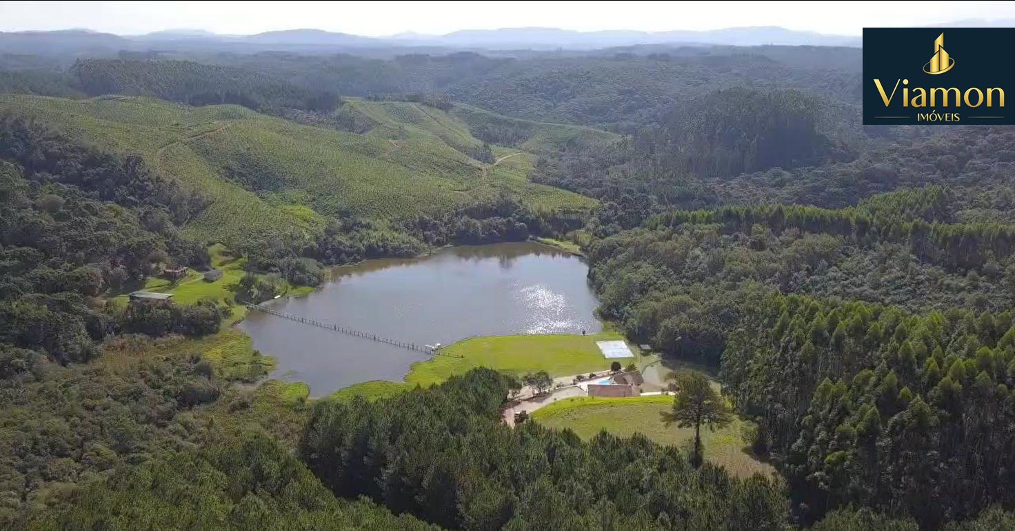Fazenda com 77,95 Hectares, Casa com Piscina e R  2 Milhões em...