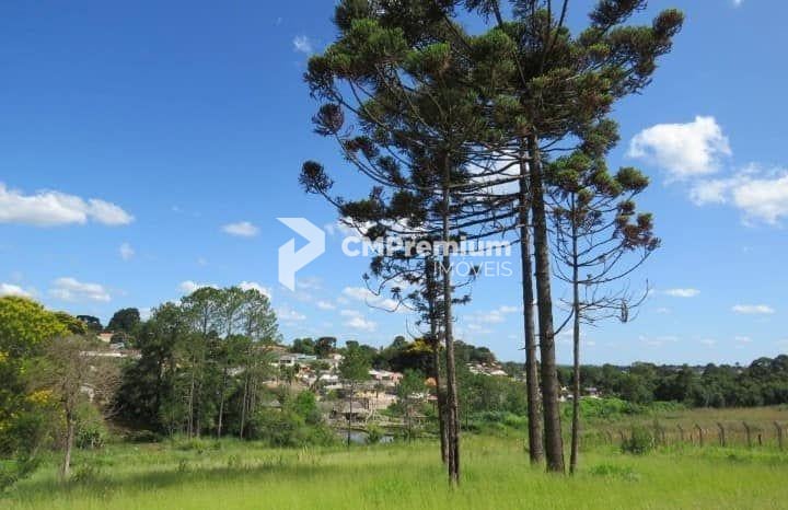 Área à Venda em Uvaranas | Ponta Grossa | 12.906 m  ao Lado da...