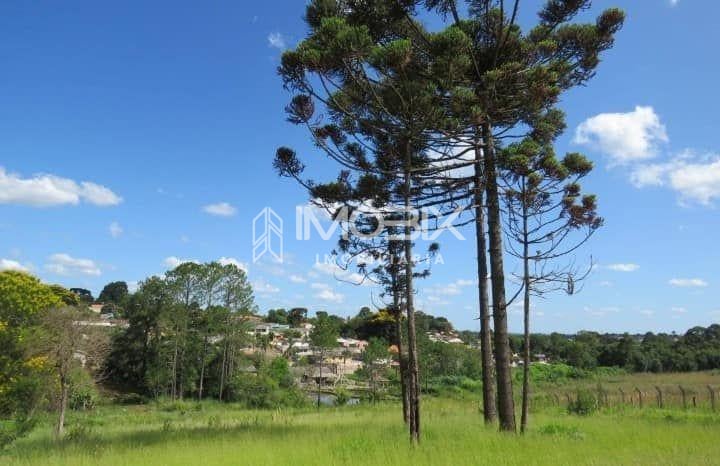 Área à Venda em Uvaranas | Ponta Grossa | 12.906 m  ao Lado da...