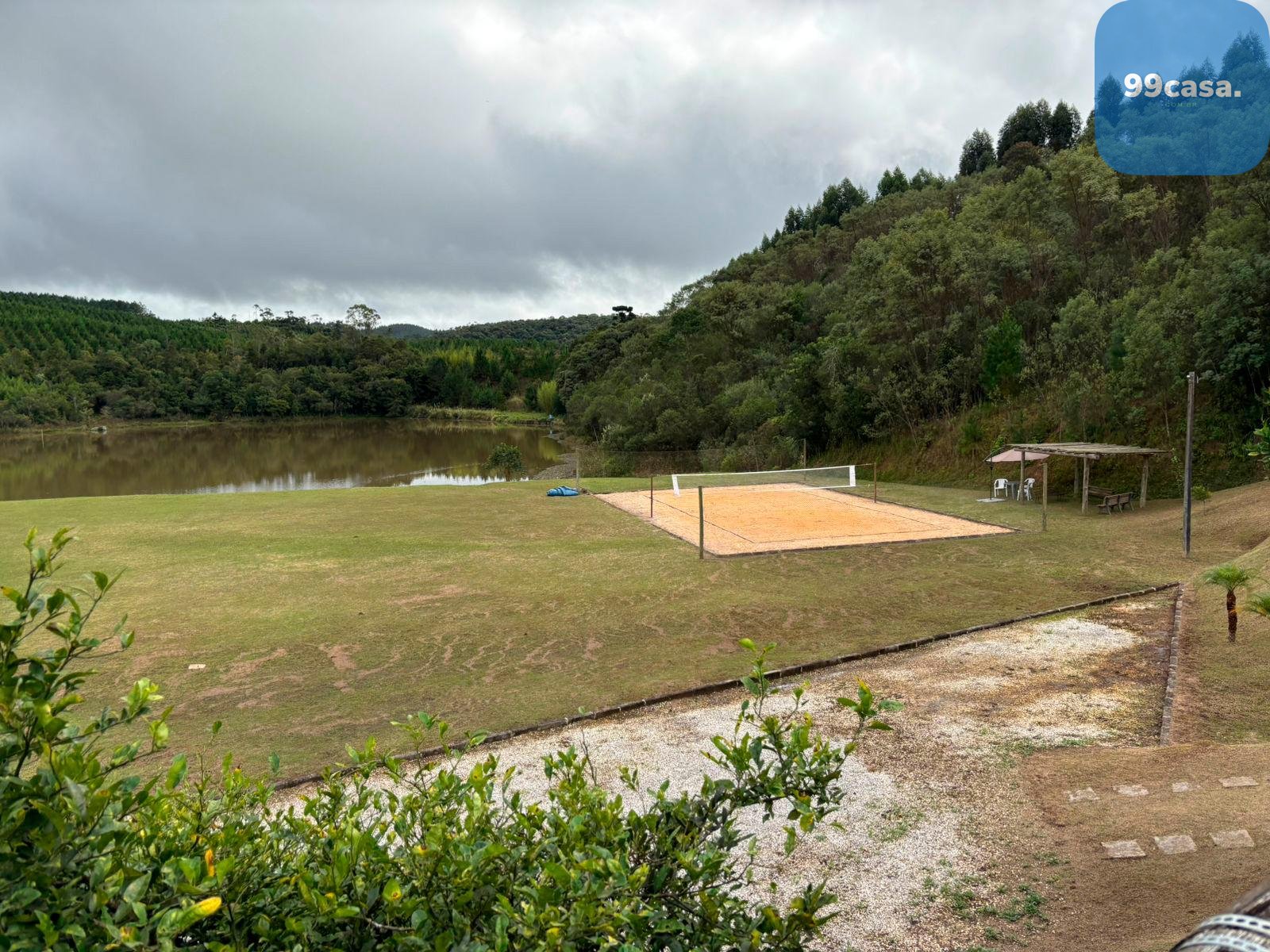 Fazenda com 77,95 Hectares, Casa com Piscina e R  2 Milhões em...